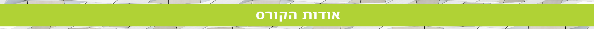 אודות הקורס